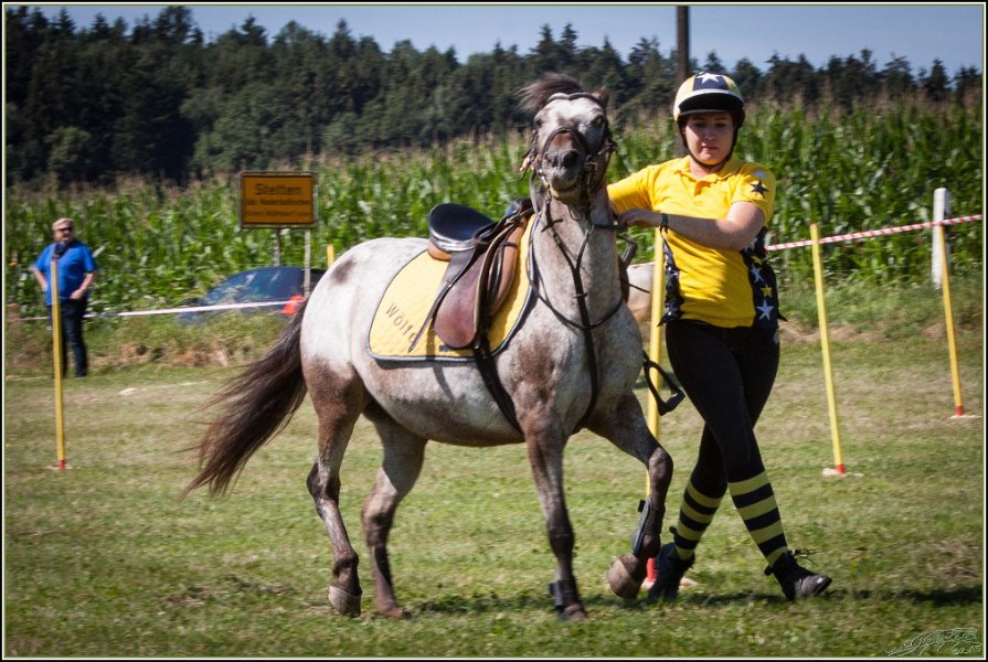 Mounted Games 055